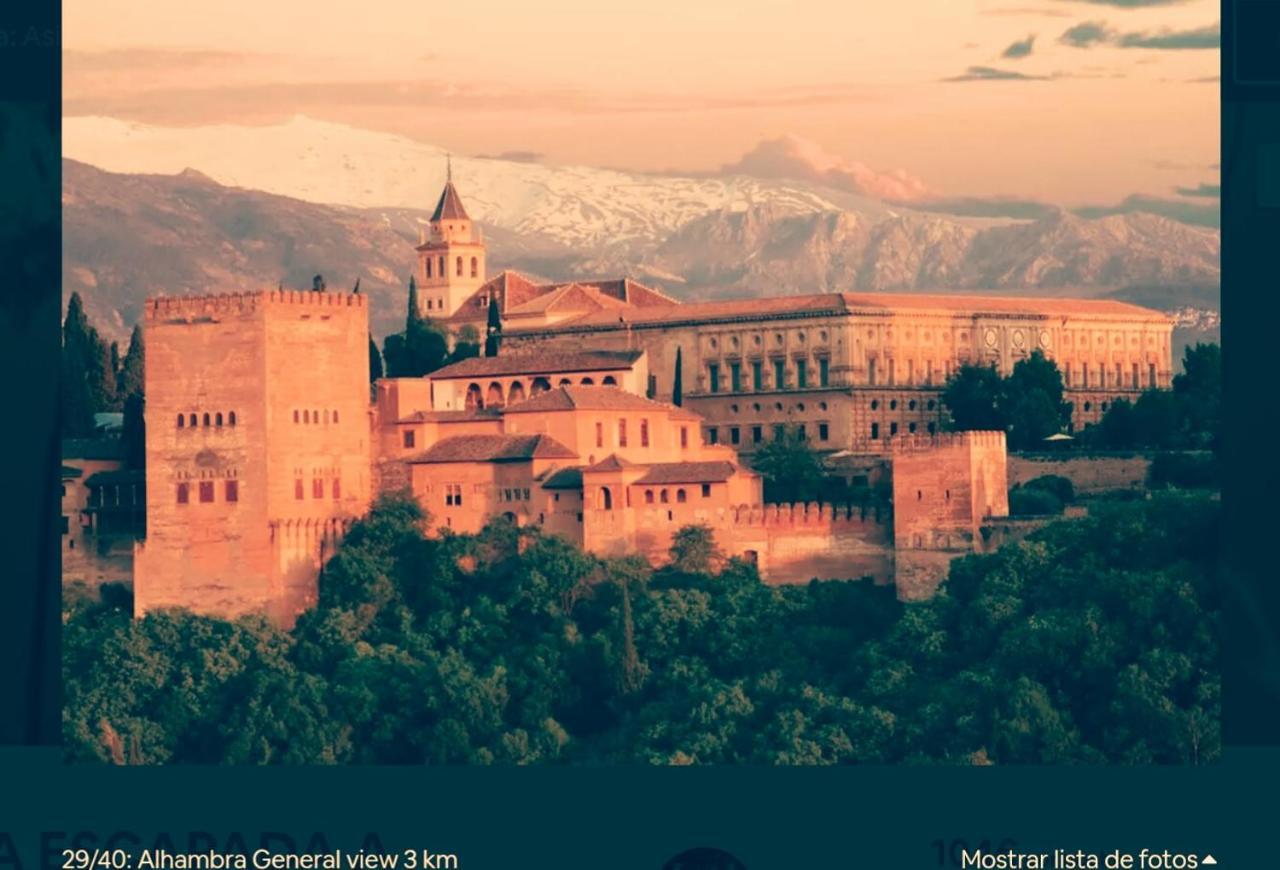 Confort By Congress Palace Granada Dış mekan fotoğraf